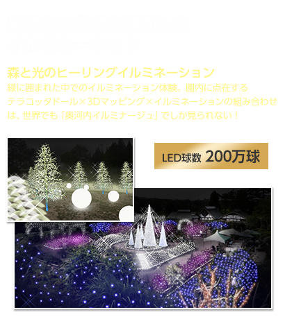 2014イルミナージュ