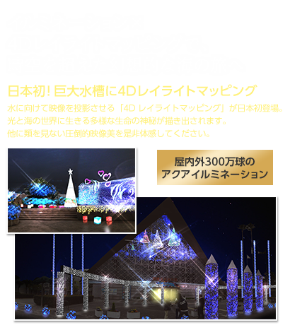 2014イルミナージュ