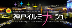 神戸イルミナージュ チケット販売