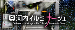 奥河内イルミナージュ チケット販売