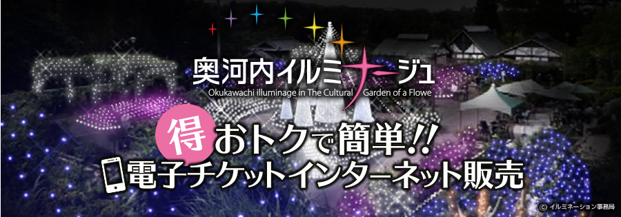 奥河内イルミナージュ チケット販売