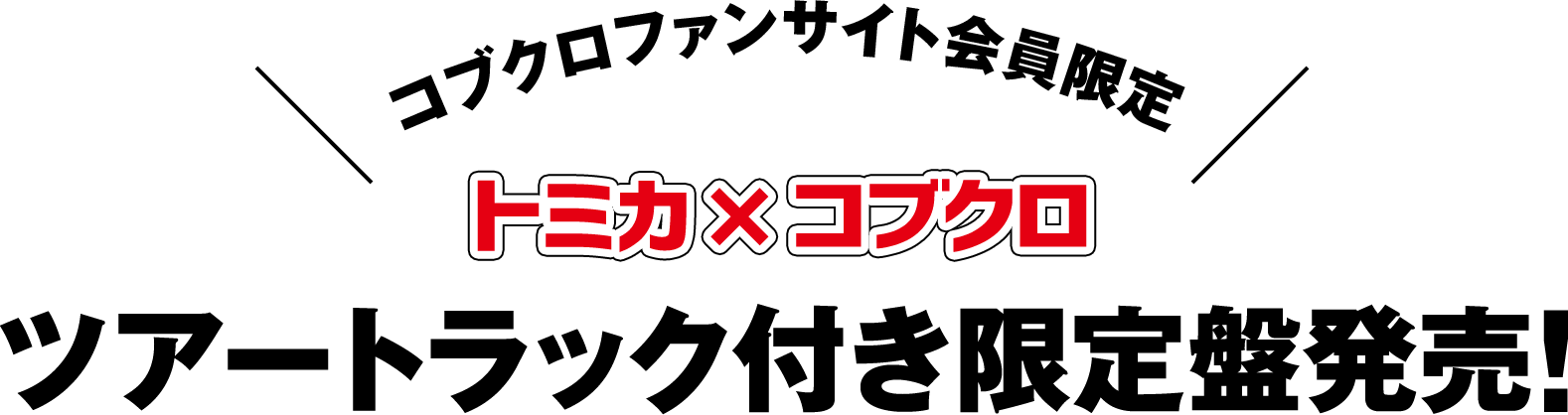 コブクロファンサイト会員限定 トミカ×コブクロ ツアートラック付き